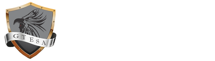 GTESA - Grupo técnico de seguridad avanzada